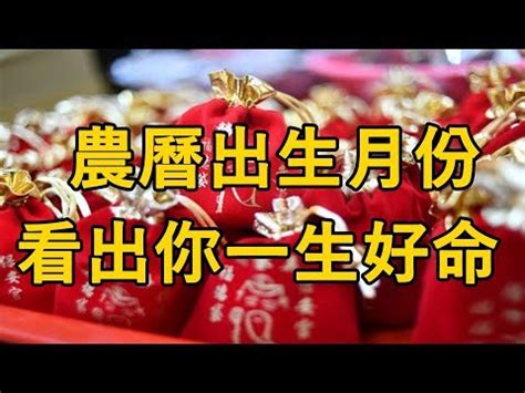 點兵 農曆七月初一出生